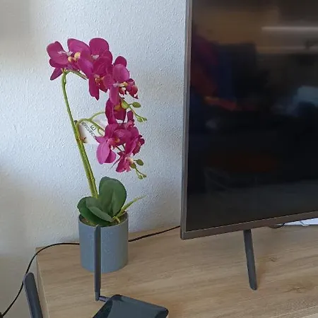 Casa Apareada El Rincon De Suenos 미아미플라자